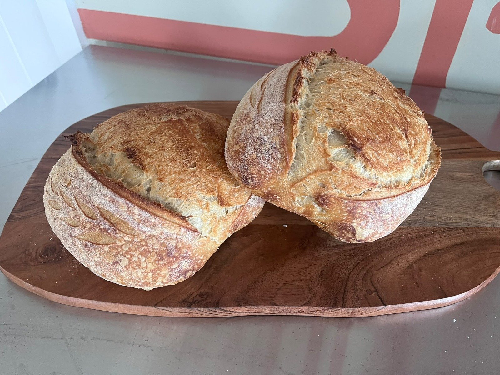 Two round sourdough loaves with deep golden, blistered crusts, one scored with a wheat-ear pattern, on a wooden board on the stainless steel bench.